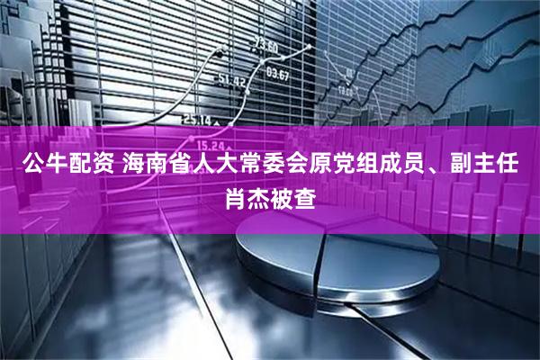 公牛配资 海南省人大常委会原党组成员、副主任肖杰被查